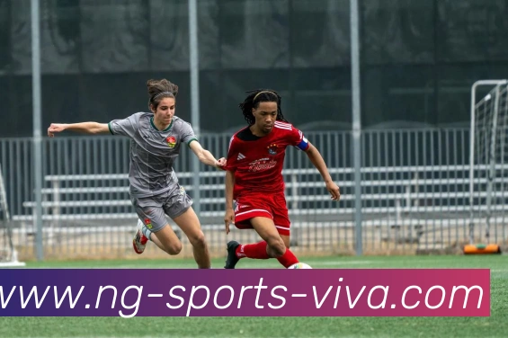 南宫体育APP 体育赛事宣传图